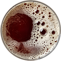 https://www.brasserielasource.fr/wp-content/uploads/2017/05/beer_transparent_02.png